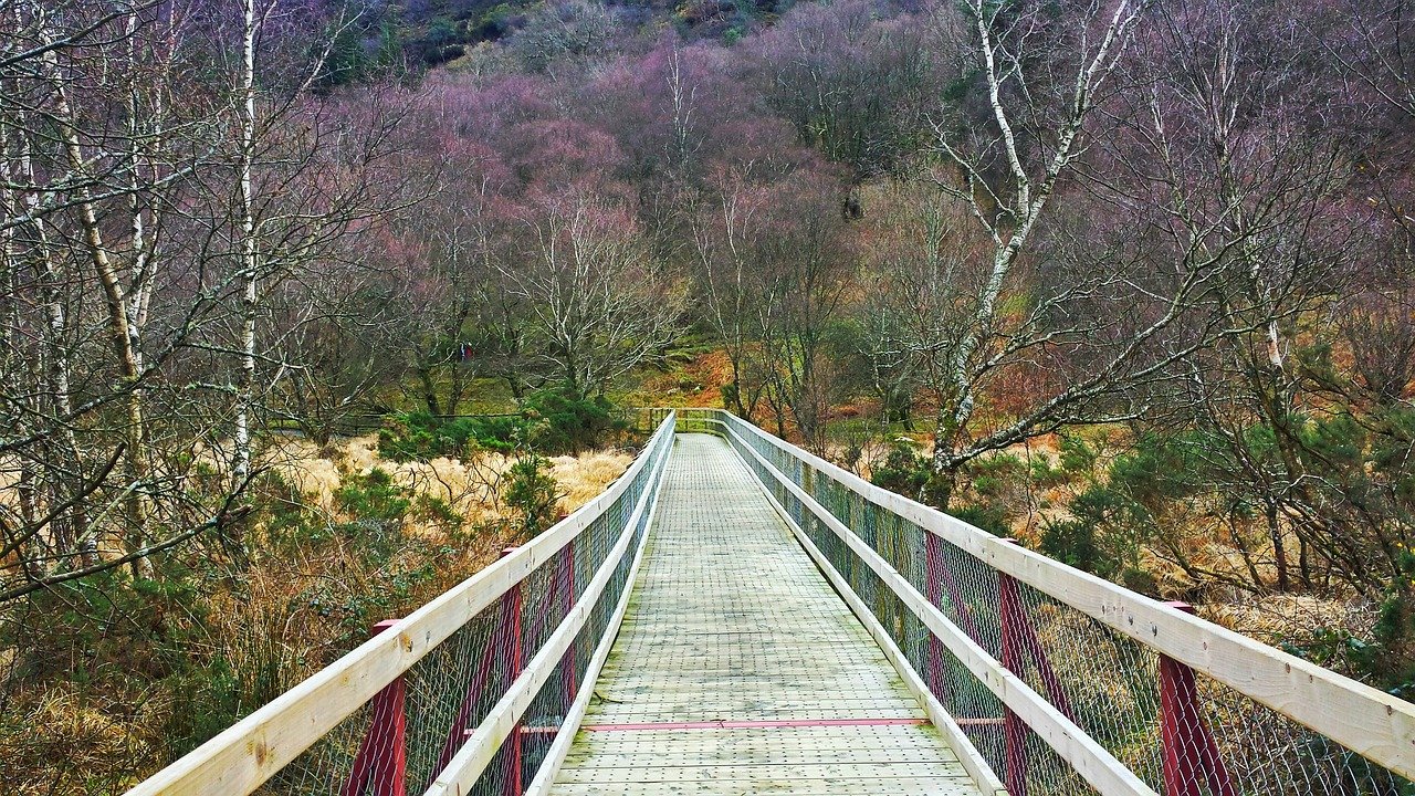 Exploring the Beauty of Ireland on a 3-Day Trip